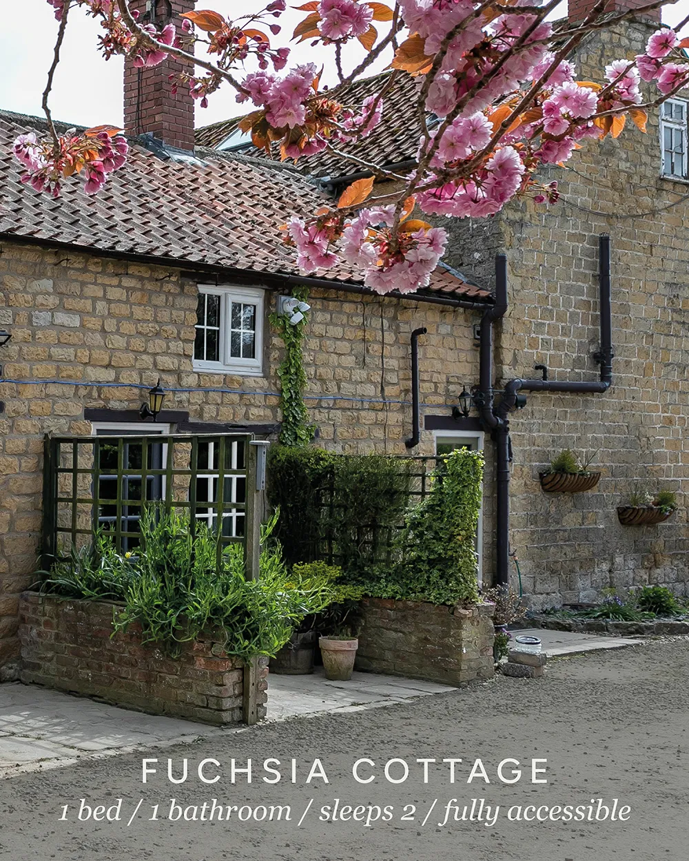 Fuchsia Cottage